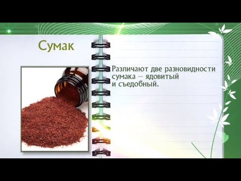 Кулинарная энциклопедия - Сумак - UC7XBjhXnmmXFsxmnys9PmDQ