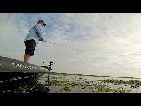 GoPro: Bass Fishing With Shaye Baker - UCqhnX4jA0A5paNd1v-zEysw