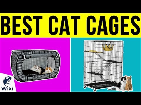10 Best Cat Cages 2019 - UCXAHpX2xDhmjqtA-ANgsGmw
