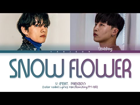 BTS V 'Snow Flower' (feat. Peakboy) Lyrics | Tradução/Translation (Color Coded Lyrics)