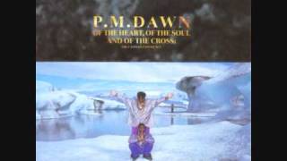 P.M.Dawn - In The Presence Of Mirrors