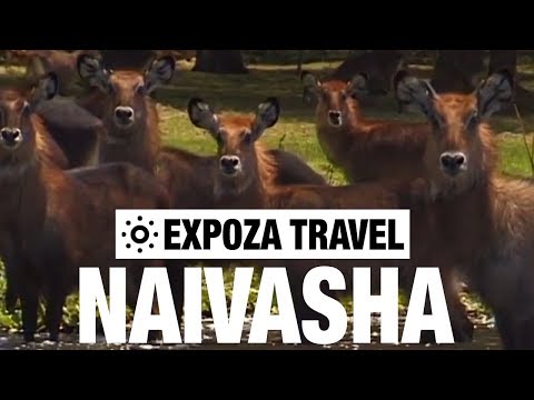 Naivasha (Kenya) Vacation Travel Video Guide - UC3o_gaqvLoPSRVMc2GmkDrg