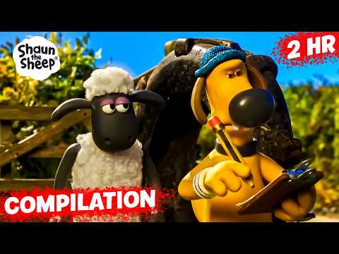 ALL SHEEP-VENTURES FROM SEASON 5 | Shaun the Sheep 🐑