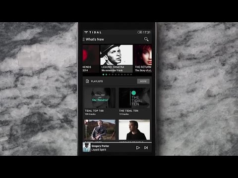 Is Tidal the Future of High-Def Music? - UCCjyq_K1Xwfg8Lndy7lKMpA