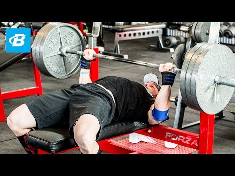 How To Bench Press: Layne Norton's Complete Guide - Bodybuilding.com - UC97k3hlbE-1rVN8y56zyEEA