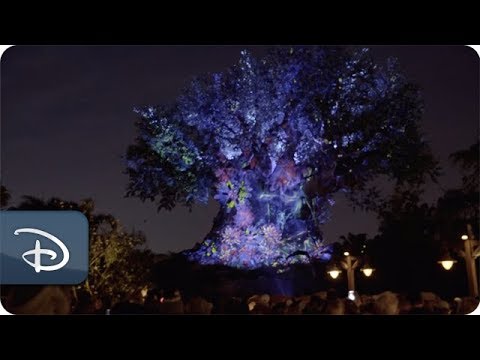 Moonlight Magic at Disney’s Animal Kingdom | Disney Vacation Club - UC1xwwLwm6WSMbUn_Tp597hQ