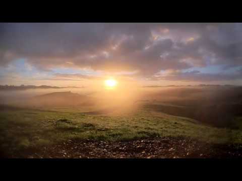 Sunrise and birdsong in New Zealand - UCTXOorupCLqqQifs2jbz7rQ