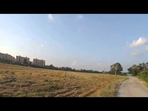 [Video]: Goblin 380 Erhan YILMAZ Arka Bahçe - 21.06.15
