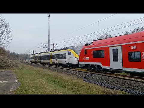 Doppeltraktion Siemens Desiro HC + Siemens Mireo • Franken-Thüringen Express • FTX • Testzug