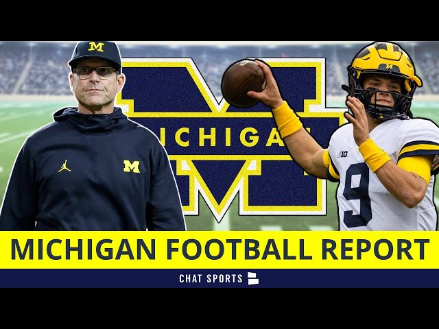 Did Jim Harbaugh Play In The NFL?