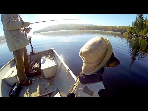 GoPro: Dog Gone Fishing - UCqhnX4jA0A5paNd1v-zEysw