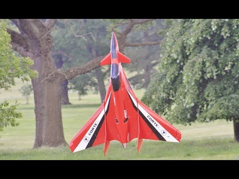 * 3D VECTORED THRUST * "ROOKIE" AMAZING RC CANARD DELTA WING - CARF MODELS AT WESTON PARK - 2017 - UCMQ5IpqQ9PoRKKJI2HkUxEw