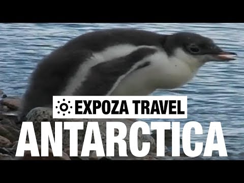 Antarctica Vacation Travel Video Guide - UC3o_gaqvLoPSRVMc2GmkDrg