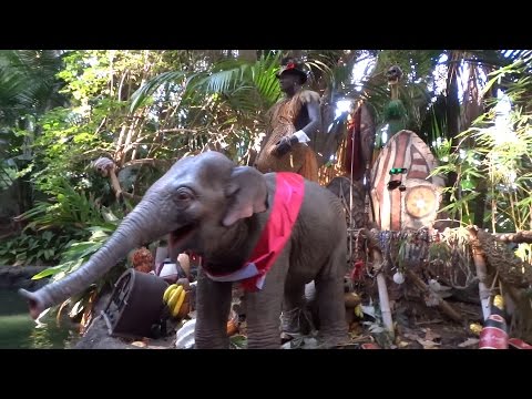 Jingle Cruise full ride at Disneyland Christmas season 2015 - UCYdNtGaJkrtn04tmsmRrWlw