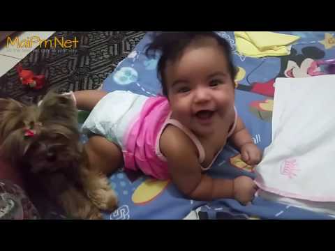 Dogs Protecting Babies Kids - Loyal Dog Doesn't Allow Anything Danger to the Owner - UCVQU_XpURRlrDbvnQJIwLag