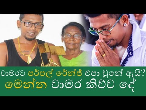 චාමරට මොකද වුනේ ?? චාමර වීරසිංහ පර්පල් රේන්ජ් ඉවත් වීම ගැන කතා කරයි