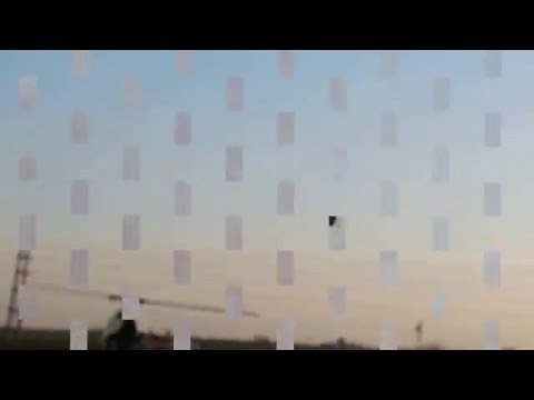 [Video]:    Align Trex 550L Dominatör// 22.06.2016  //