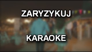DJ Remo - Zaryzykuj [karaoke/instrumental] - Polinstrumentalista