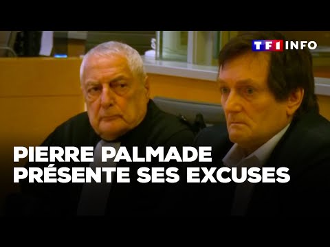 Pierre Palmade présente ses excuses｜TF1 INFO