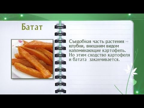 Кулинарная энциклопедия - Батат - UC7XBjhXnmmXFsxmnys9PmDQ