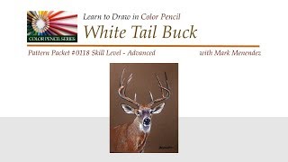 Mark Mendez - White Tail Buck