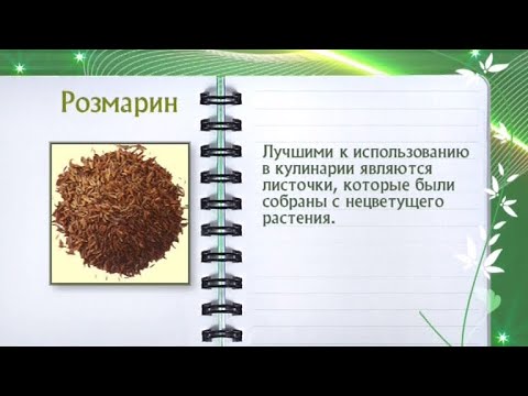 Кулинарная энциклопедия - Розмарин - UC7XBjhXnmmXFsxmnys9PmDQ