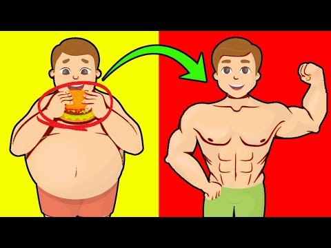 Cheat Meals Make You Fatter (UNLESS YOU DO THIS) - UC0CRYvGlWGlsGxBNgvkUbAg