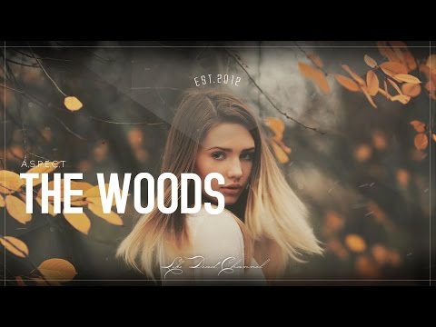 Aspect - The Woods - UCUavX64J9s6JSTOZHr7nPXA