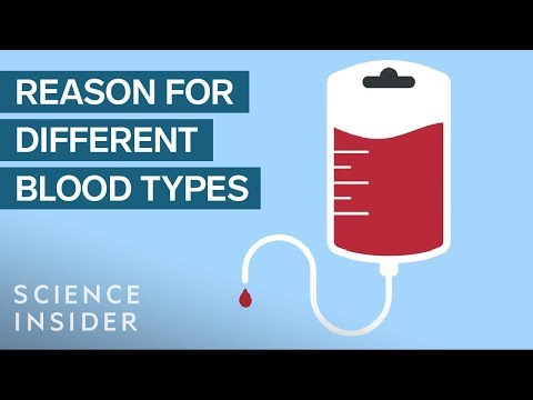 Why You Can't Mix Blood Types - UC9uD-W5zQHQuAVT2GdcLCvg