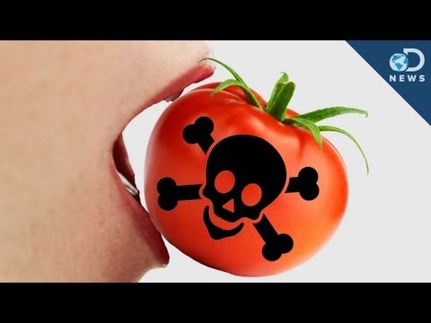 5 Poisonous Foods You Love - UCzWQYUVCpZqtN93H8RR44Qw