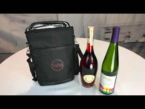 Vina 2-bottle Insulated Travel Wine Carrier Picnic Cooler Tote Bag review - UCS-ix9RRO7OJdspbgaGOFiA