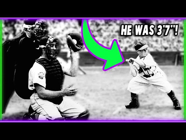 Who Was The Shortest Baseball Player?