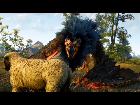 Witcher 3: Royal Griffin Boss Fight (Hard Mode) (4K 60fps) - UCdaluuQuE5GoOlULA2PGKmA