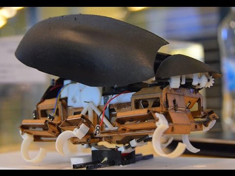 Team gives robot cockroach ability to jump, we say 'no, thanks' (Tomorrow Daily 374) - UCOmcA3f_RrH6b9NmcNa4tdg
