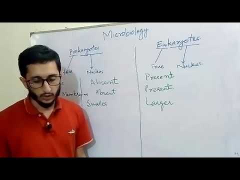 Prokaryotic Vs. Eukaryotic Cells lecture 2  in urdu /hindi - UCEFTC4lgqM1ervTHCCUFQ2Q