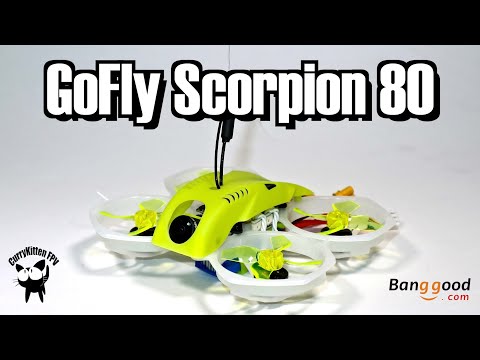 GoFly Scorpion 80 2S whoop review, supplied by Banggood - UCcrr5rcI6WVv7uxAkGej9_g