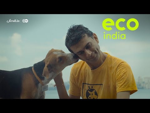 WATCH #Positive | Eco India: Meet the SAVIOUR of Stray Dogs in Mumbai #India #Dog #Special