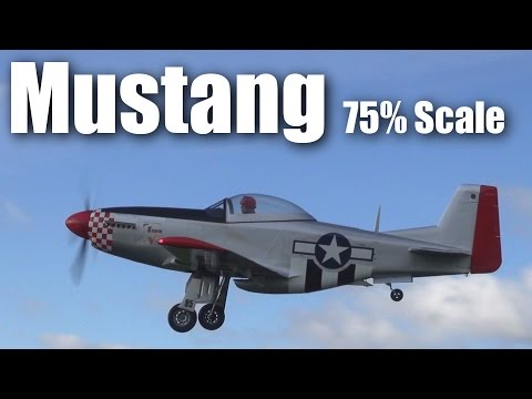 75% Scale T51 Mustang (Titan Kiwi Mustang) at Tokoroa Airfield - UCQ2sg7vS7JkxKwtZuFZzn-g