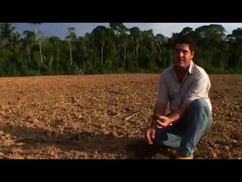 Environment vs Development - Amazon: Truth and Myth - BBC - UCwmZiChSryoWQCZMIQezgTg