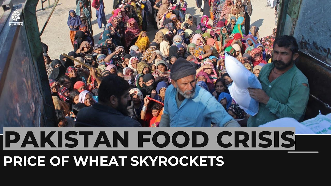 Pakistan food crisis: Price of wheat skyrockets due to poor harvest