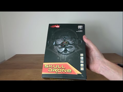 (Huiying Toys) GW008 Mini Skull Unboxing - UC2c9N7iDxa-4D-b9T7avd7g