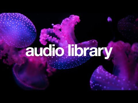 Jellyfish - Declan DP & KODOMOi  [Vlog No Copyright Music] - UCht8qITGkBvXKsR1Byln-wA