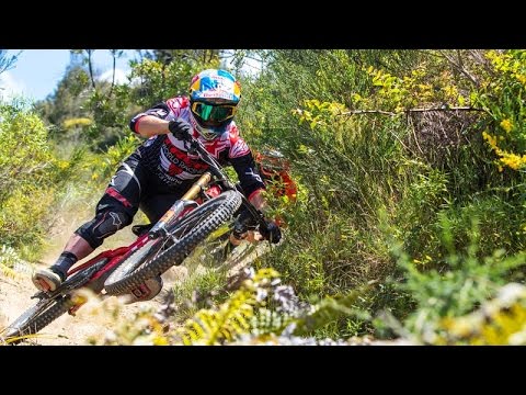 Bulldog and Blinky Ride Te Ranga | Downhill MTB - UCblfuW_4rakIf2h6aqANefA