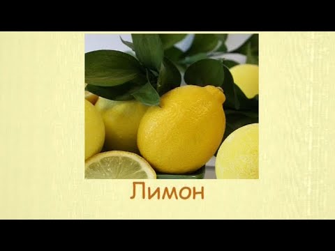 Кулинарная энциклопедия - Лимон - UC7XBjhXnmmXFsxmnys9PmDQ