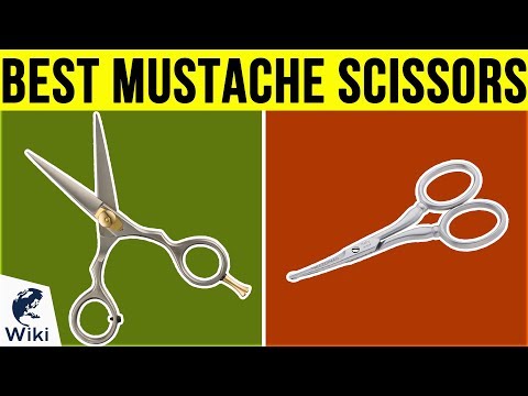 10 Best Mustache Scissors 2019 - UCXAHpX2xDhmjqtA-ANgsGmw