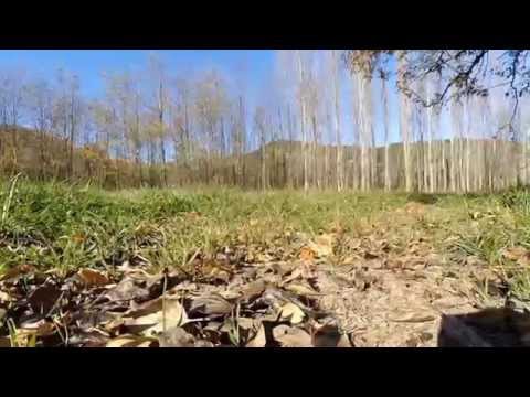 Racer quad QAV250 fpv practice - UCAjp6jY_6UY9EsSSnYW9dyw
