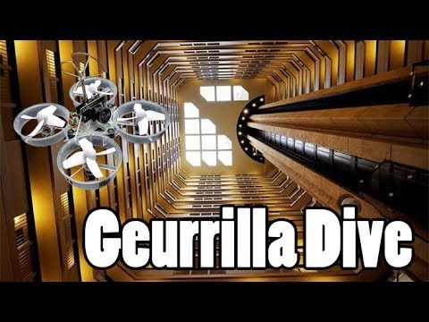 Guerrilla Whoop Dive - UCPCc4i_lIw-fW9oBXh6yTnw