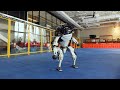 Do You Love Me (Boston Dynamics)