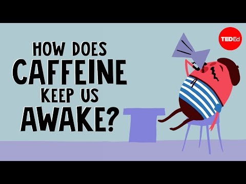 How does caffeine keep us awake? - Hanan Qasim - UCsooa4yRKGN_zEE8iknghZA