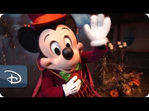 iNSIDE Disney Parks - Fall Returns to Disney Parks - UC1xwwLwm6WSMbUn_Tp597hQ